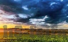 足球比分现场-足球比分现场，激情与心跳的交响曲